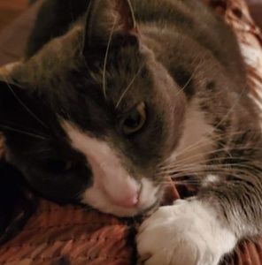 Meet your Posher, Mimi